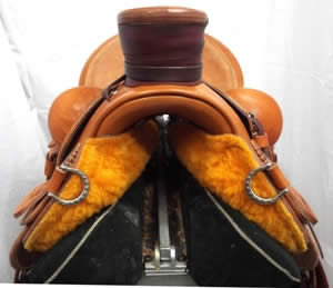 wade saddle Paua shell conchos